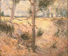 Haga click para ver la imagen ampliada 1887 arbre dans un champ.jpg